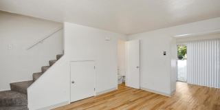 Sugar Pine Gallery 7
