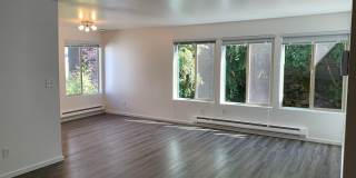 Olympic View Apartments Gallery 7