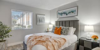 The Mod Apartments Gallery 8