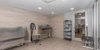 Live Grandscape Gallery 19