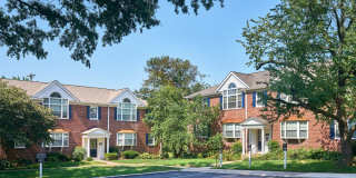 Rodgers Forge Gallery 25