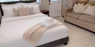 1214 BAY PINE BOULEVARD Gallery 2