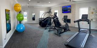 Nova at Trinity Gallery 5