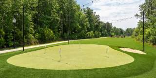 Hawthorne at Pine Forest Gallery 27