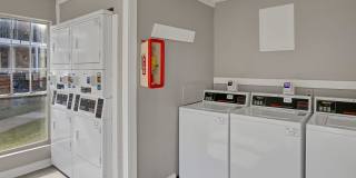 Diamond Loch Gallery 21