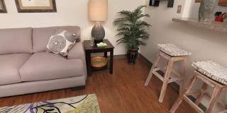 College Suites at City Station South - Student Housing Gallery 2