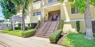 Nelk Manor Gallery 25