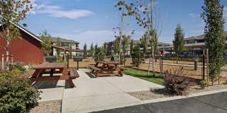 Seasons at Farmington Reserve Gallery 11