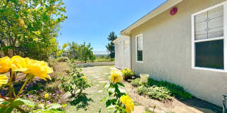 Beautiful Single-Level Custom Home with Serene Backyard Space in the Lovely Peppertree Park Community of Fallbrook! Gallery 28