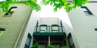 Garden Arch Gallery 4