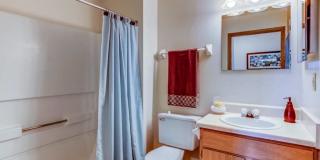 Lake Forest Apartments Gallery 9