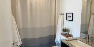 Downtown 360 Apartments Gallery 8