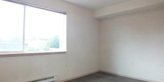 12549 28th Avenue Northeast Gallery 7