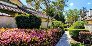 976 W ARROW HWY #A UPLAND 91786 (2 BED / 2.5 BATH) Gallery 3