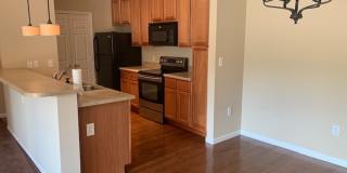 Beautiful Condo! Gallery 10