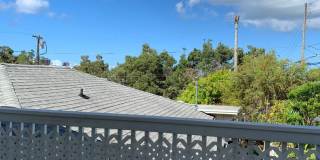 Liliha: 2 Bed, 1 Bath + Den Duplex w/ 1 Parking Spot - Includes Utilities! Gallery 8