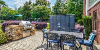 Vyne On Central Gallery 11