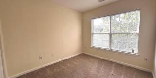 45541 CLEAR SPRING Terrace Gallery 5