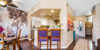 54970 Firestone Gallery 29