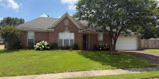 3 BR/2BA | Newly Renovated Single Family Home |Attached garage  | Fenced  backyard | In Cordova! Gallery 1