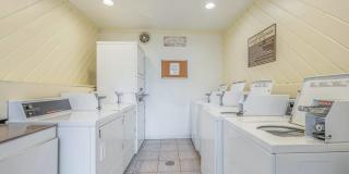 El Dorado Gallery 32