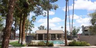 533 W GUADALUPE Road Gallery 2