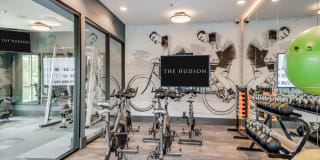 The Hudson Gallery 18