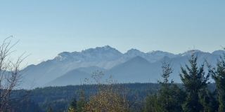 The Signature Gallery 26