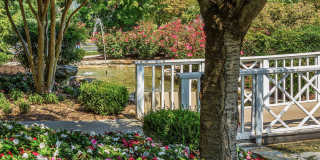 Deertree Gallery 18