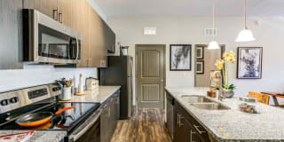 Addison at Tampa Oaks Gallery 12