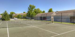 Linden Square Gallery 64