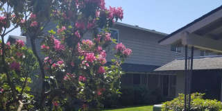 Townhouse Square Gallery 26