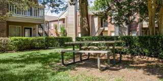 Pine Hills Gallery 24