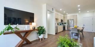 The Willows Gallery 60