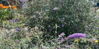 1804 Dalton Court Gallery 12