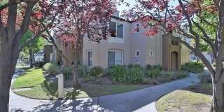 635 Celebration Ct # 635 Gallery 1
