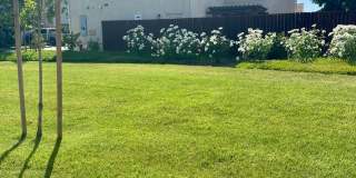 MOVE IN READY!! 3 BEDROOM 2 1/2 BATH HOME FOR RENT IN VILLAS AT COPPER VALLEY Gallery 39