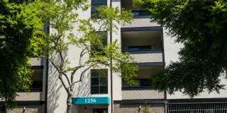 Upgrade 2Bed 2Bath Condo Gallery 1