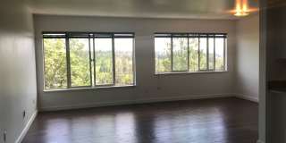 Bayview Apartments Gallery 16