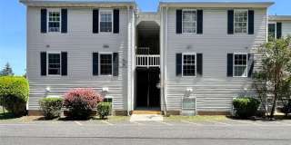 18 Lexington Hill Gallery 1