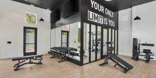 Aventon Noelle Aventon Noelle Gallery 25