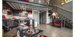 Koi Apartments Gallery 14