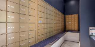 The Statesman Gallery 10