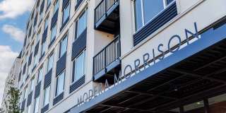 Modera Morrison Gallery 31