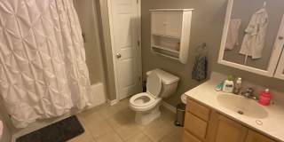 ****AVAILABLE AUGUST 2027**** Large 3 bed, 3 bath House with fenced yard ****AVAILABLE AUGUST 2027**** Large 3 bed, 3 bath House with fenced yard Gallery 22