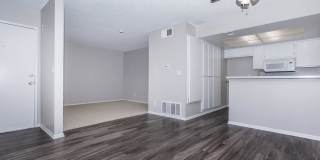 Mountain Springs Gallery 53