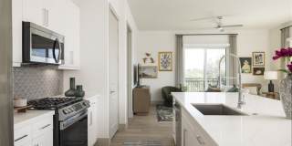 Emeline Heights Gallery 27