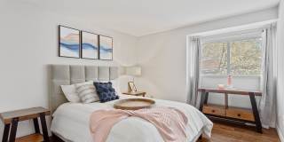 MonteVista Gallery 8