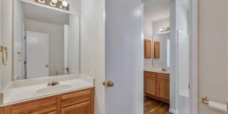 2435 Pintail Loop Gallery 16