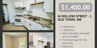 14 Willow Street - 1 Gallery 1